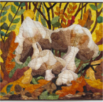 Hunting-for-Manitoba-Mushrooms-33x26-fibre