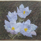 Prairie-Crocus-fibre-14x13-Judith-Panson