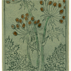 Wild-Carrot-6x8-relief