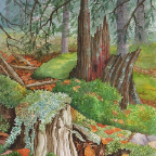 Cedar-Stumps,-Birds-Hill-Park-12x16-watercolour