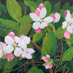 Blossom-gouache