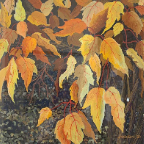 Fall-Foliage