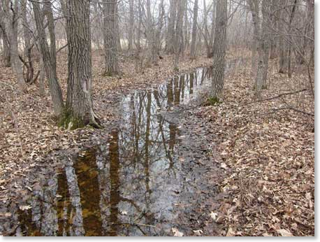 flooded-path