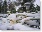 K's-snow